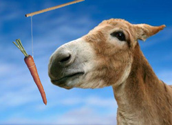 donkey-and-carrot.jpg